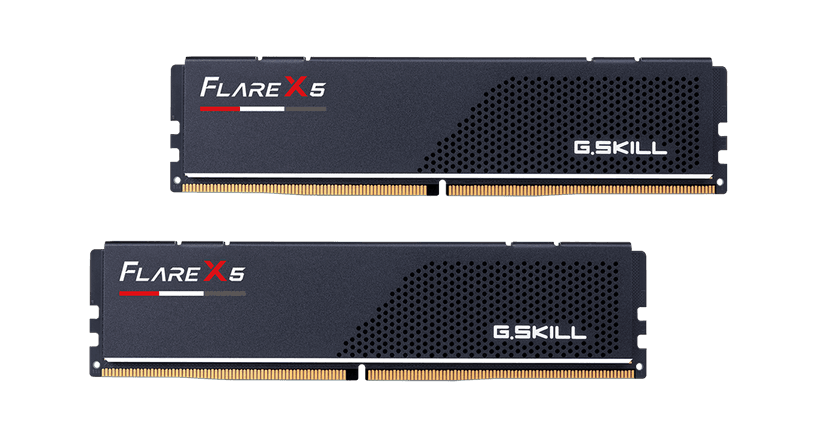 G.Skill Flare X5 96GB (2x48GB) DDR5 5600MHz CL40 Preto - F5-5600J4040D48GX2-FX5