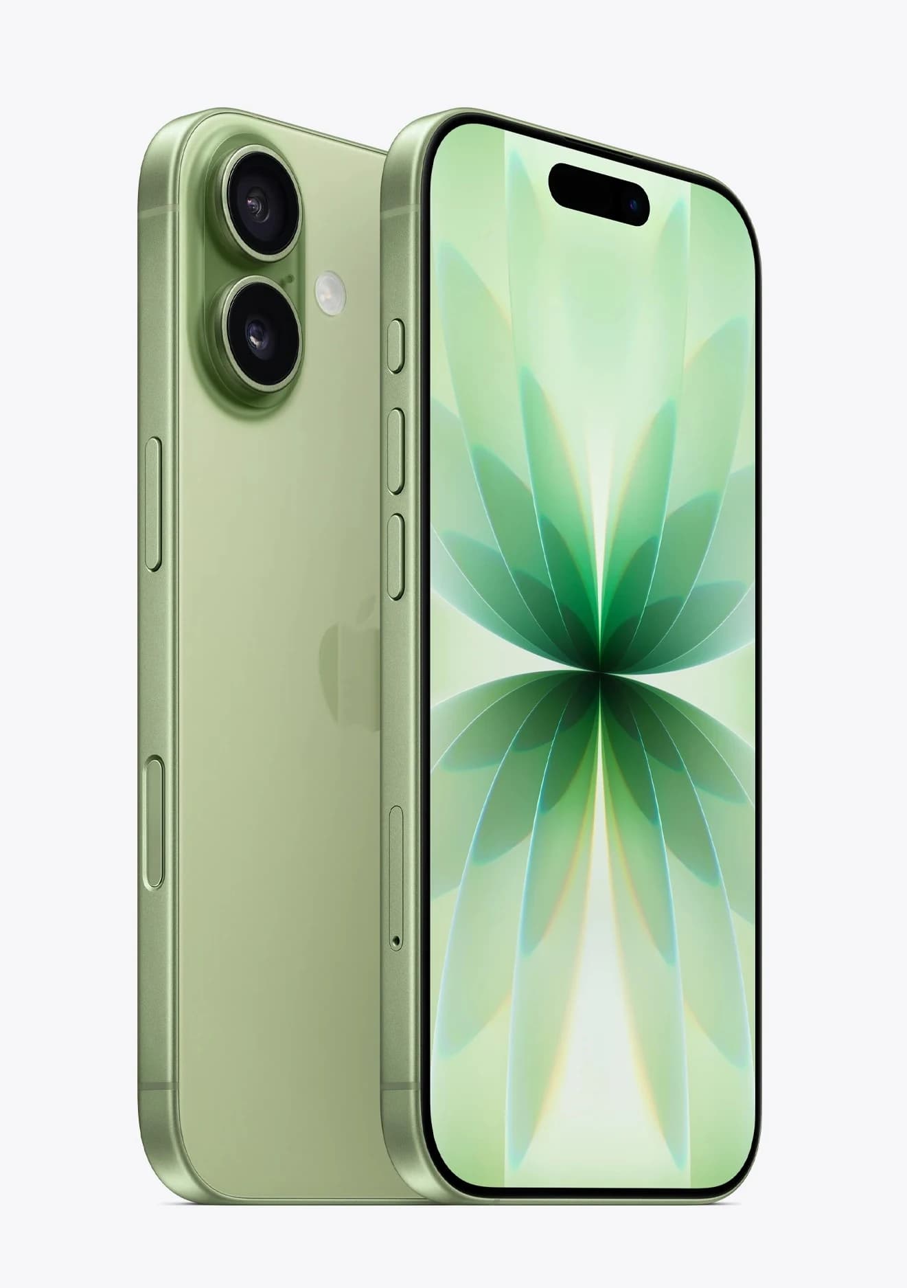 iPhone 17 iPhone 17 Sálvia 256GB