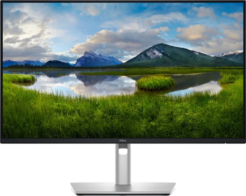 Dell Pro 23.8" QHD 60Hz IPS - P2425D